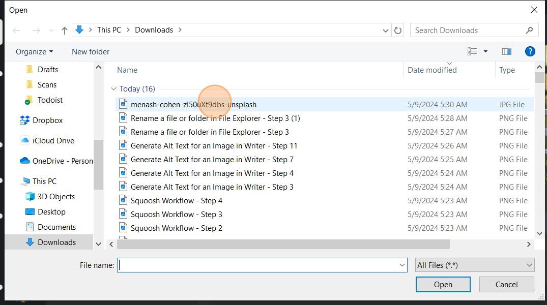 File explorer of Downloads folder