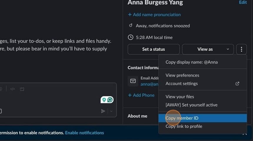 Screenshot of Slack: Copy Member ID