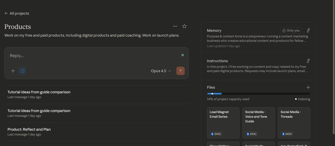 Screenshot of a Project in Claude AI