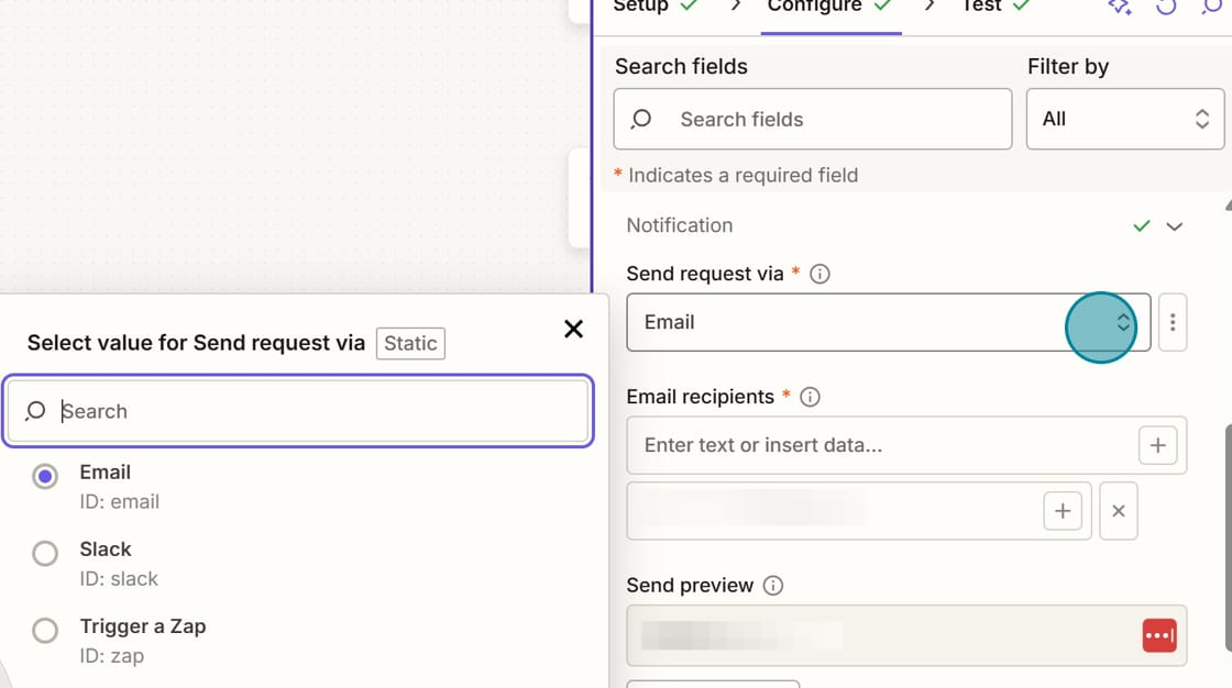 Screenshot of selecting Email as the send request